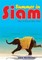 Summer in Siam