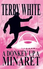Donkey Up A Minaret