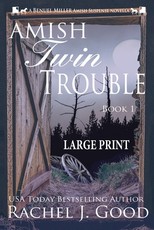 Twin Trouble - Large Print