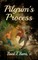Pilgrim's Process
