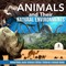 Animals and Their Natural Environments | Animal Book Junior Scholars Edition | Children's Animals Books
