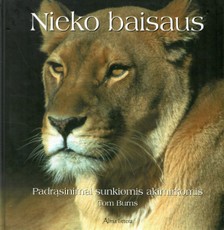 Nieko baisaus. Padrąsinimai sunkiomis akimirkomis
