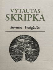 Žuvusių žvaigždės