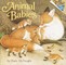 Animal Babies