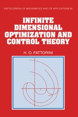 Infinite Dimensional Optimization and Control Theory