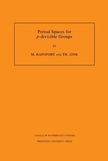 Period Spaces for P-Divisible Groups (Am-141), Volume 141