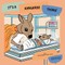 It's a Kangaroo Thing!