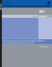 Practical Implications of Current Domestic Violence Research