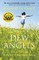 Dew Angels