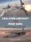 Coalition Aircraft Vs Iraqi Sams