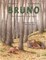 Bruno - Short Stories for Long Nights