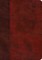ESV Study Bible (Trutone, Burgundy/Red, Timeless Design)