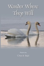 Wander Where They Will