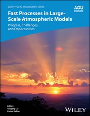 Fast Physics in Large Scale Atmospheric Models