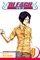 Bleach, Vol. 4