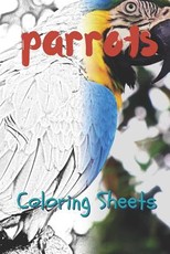 Parrot Coloring Sheets