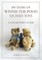 100 Years of Winnie-The-Pooh Stuffed Toys