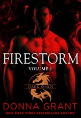 Firestorm: Volume 1