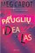 Paauglių idealas