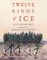 Twelve Kinds of Ice