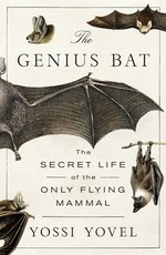 The Genius Bat
