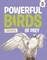 Powerful Birds of Prey