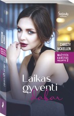 Laikas gyventi dabar. Mažytės karštos paslaptys. 2 knyga