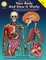 Your Body and How it Works, Grades 5 - 8