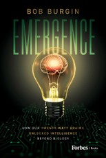 Emergence