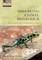 Observing Animal Behaviour