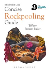 Concise Rockpooling Guide