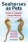 Seahorses as Pets. Seahorse Complete Owners Manual. Seahorse care, health, tank, costs and feeding.