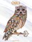 Owls Coloring Book for Grown-Ups 1 & 2