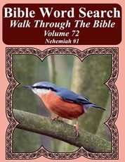 Bible Word Search Walk Through The Bible Volume 72