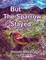 But The Sparrow Stayed - Pero El GorriÃ³n Se QuedÃ³ (Bilingual English-Spanish)