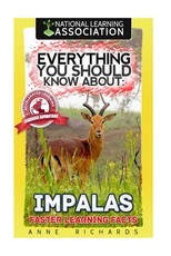 Everything You Should Know About