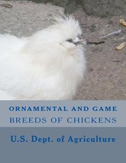 Ornamental and Game Breeds of Chickens