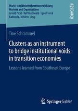 Clusters as an Instrument to Bridge Institutional Voids in Transition Economies