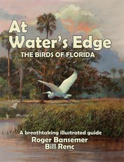 At Water's Edge