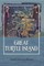 Great Turtle Island
