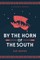 By the Horn of the South