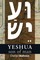 Mathews, C: Yeshua, Son of Man