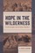 Hope in the Wilderness: Practical Insights from the Book of Numbers