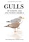Gulls of Europe, Asia and North America
