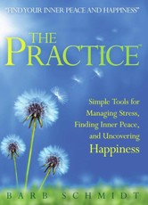 The Practice