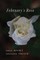 February's Rose