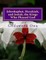 Jehoshaphat, Hezekiah, and Josiah, the Kings Who Pleased God