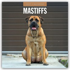 Mastiffs - Mastiff 2027 - 16-Monatskalender