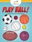 Play Ball! Hidden Picture Activity Book