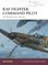 RAF Fighter Command Pilot